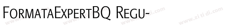 FormataExpertBQ Regu字体转换